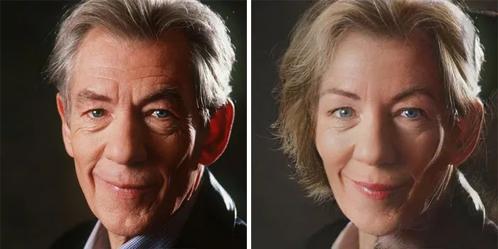 Ian Mckellen  (Magneto)