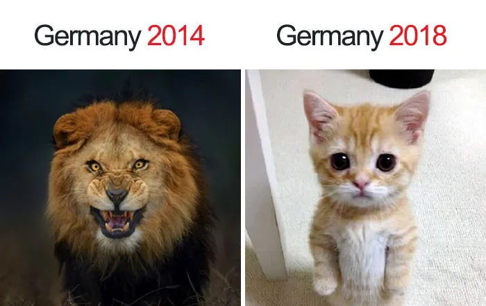 64 Hilarious World Cup 2018 Memes That Will Make You Laugh. Or Cry If You're German