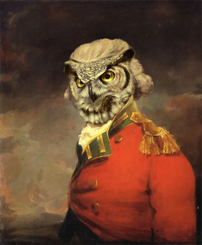 Major Owl