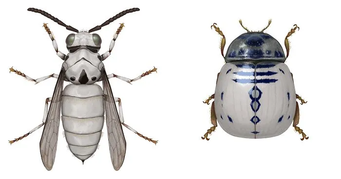 Artist Mutates Insects To Resemble Star Wars Characters – How Many Do You Recognize?