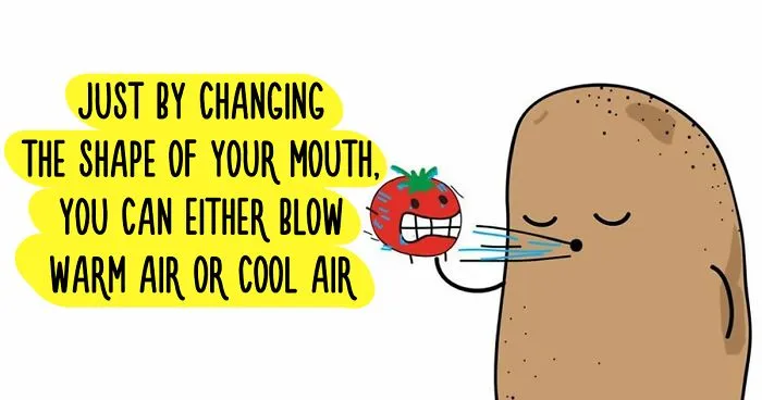 72 Bitter Truths By Truth Potato That Will Make You Think (New Pics)