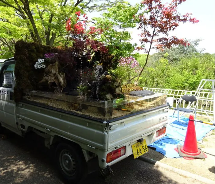 Traditional Japanese Garden