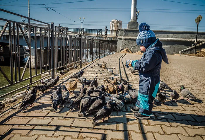 Kids And Pigeons: Where The F**k Do They Get Them?