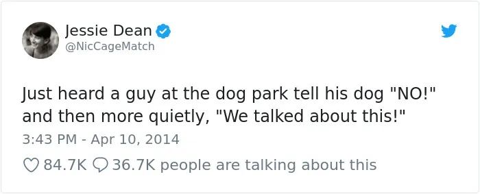 233 Funny Dog Tweets Every Dog Owner Should See ASAP