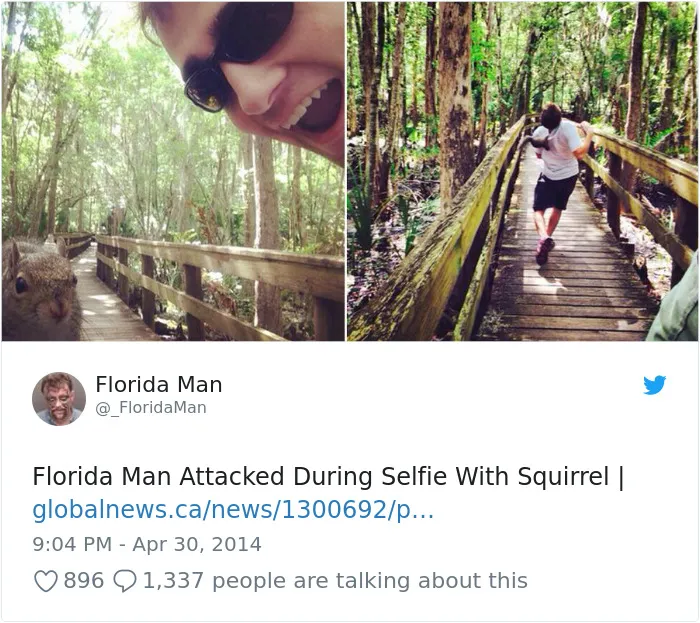 Killer Squirrel