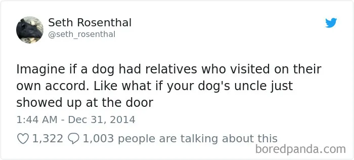 233 Funny Dog Tweets Every Dog Owner Should See ASAP