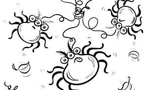 Silly Spiders Trying To Skate On Glass
