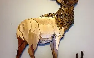 Awesome Saws Designs