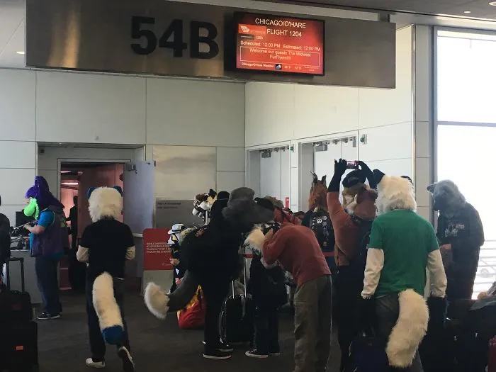 Creo que soy el único no furry de este vuelo