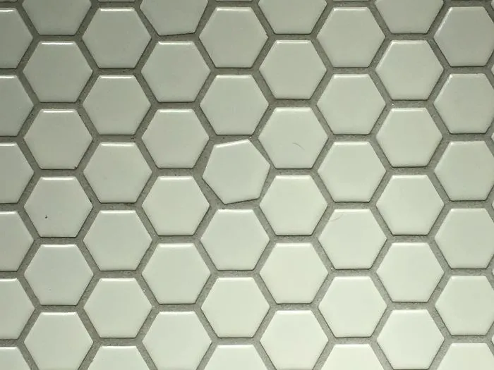 This Tile In My Bathroom Floor