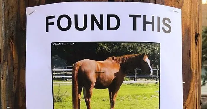 This Guy Won't Stop Trolling His Neighborhood With Fake Posters, And People Can't Stop Laughing