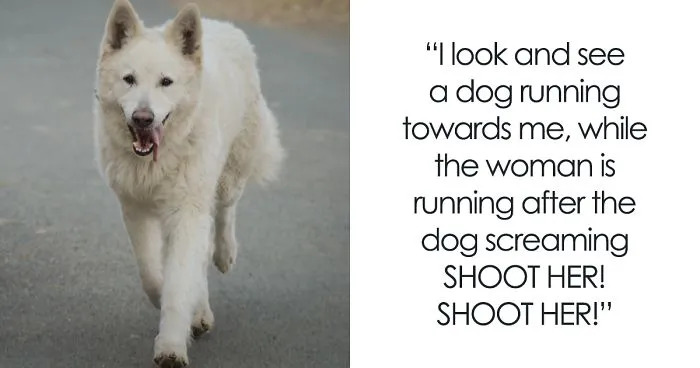Pizza Guy Sees Dog Running Towards Him At 2AM While Woman Shouts “Shoot Her”, Reaches For His Gun