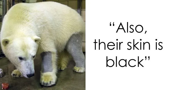 Zoo Employee Reveals 16 Most Interesting Animal Facts She Learned At Her Job And We Can't Get Enough