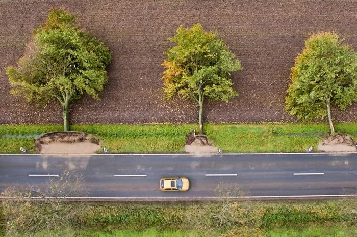 Tras una tormenta en Alemania