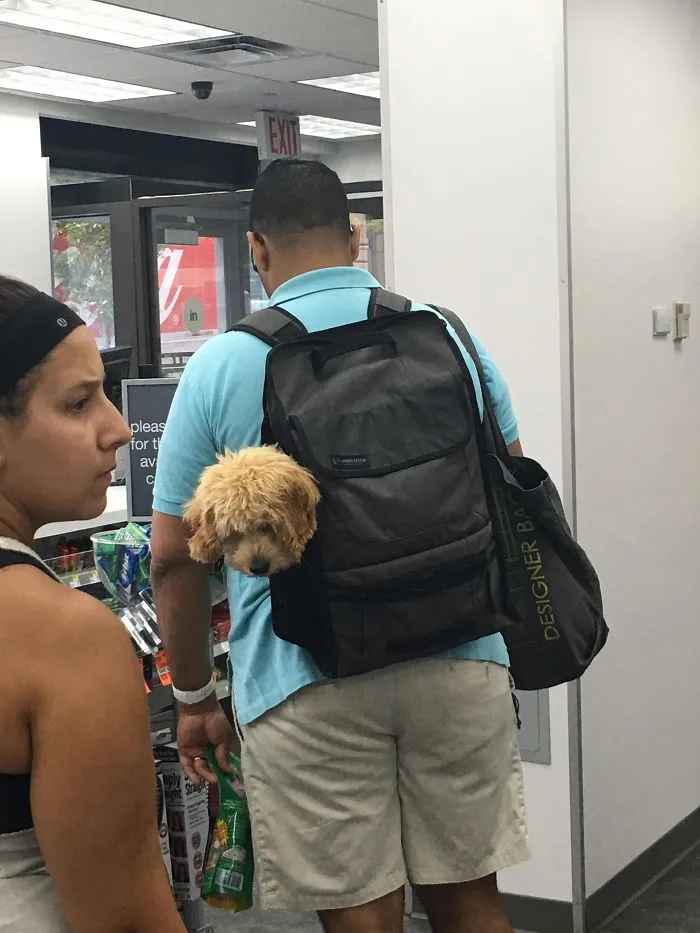 Estaba haciendo cola en la tienda y de repente alguien me lamió el brazo