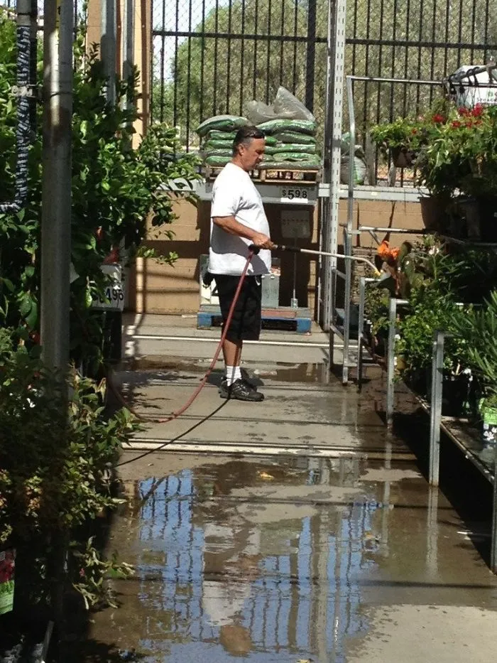 Mi abuelo vio plantas secándose en el centro comercial y empezó a regarlas. No es un empleado