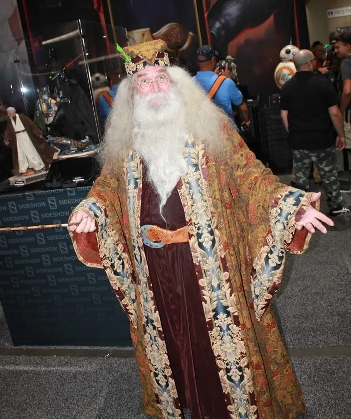 Dumbledore, Harry Potter