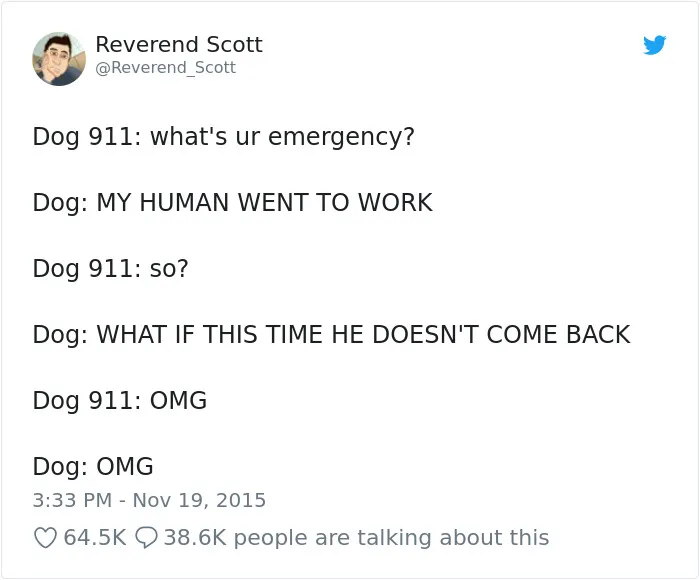 Hilarious-Dog-Tweets