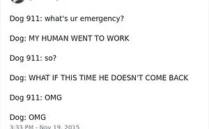 233 Funny Dog Tweets Every Dog Owner Should See ASAP