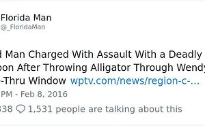 A Selection Of Probably The Craziest Florida Man Headlines