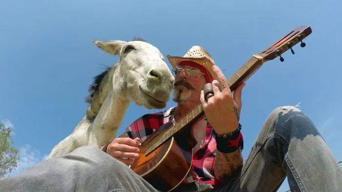 Hazel The Donkey Is In Love With Music