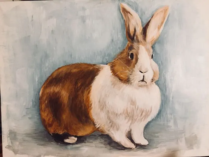 The Rabbit