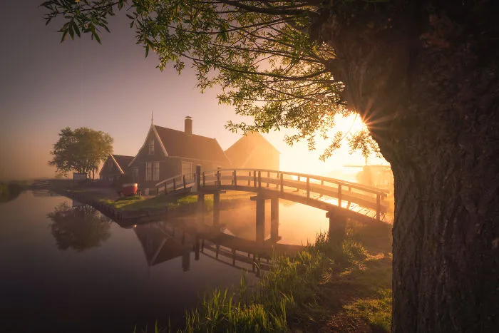 The Famous Cheese Farm Rising Out Of The Fog In The Early Morning With The Sun Giving That Golden Glow