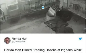 A Selection Of Probably The Craziest Florida Man Headlines