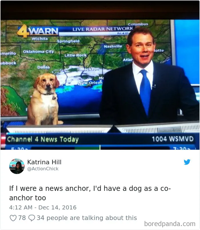 233 Funny Dog Tweets Every Dog Owner Should See ASAP
