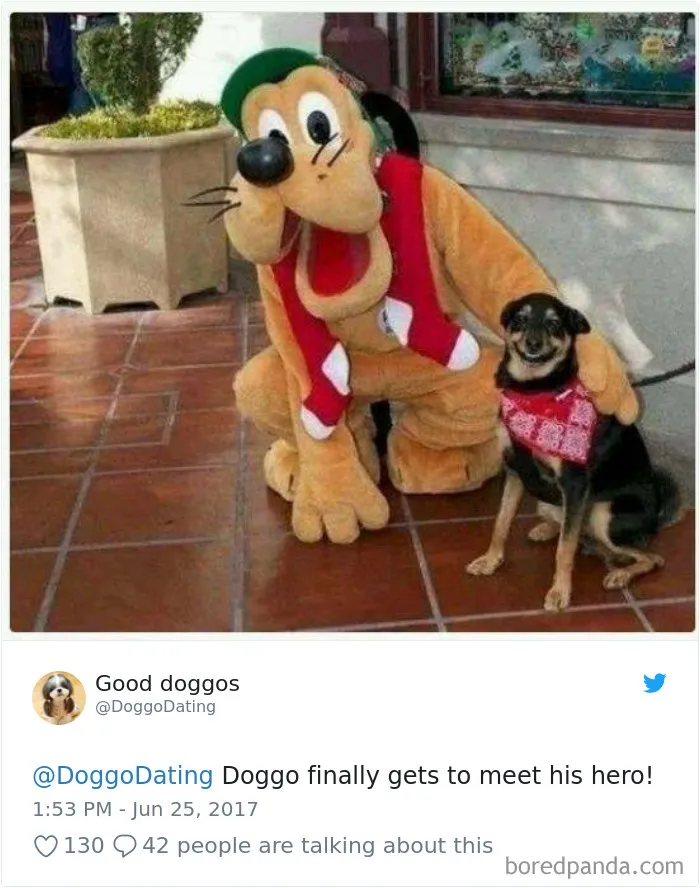 233 Funny Dog Tweets Every Dog Owner Should See ASAP