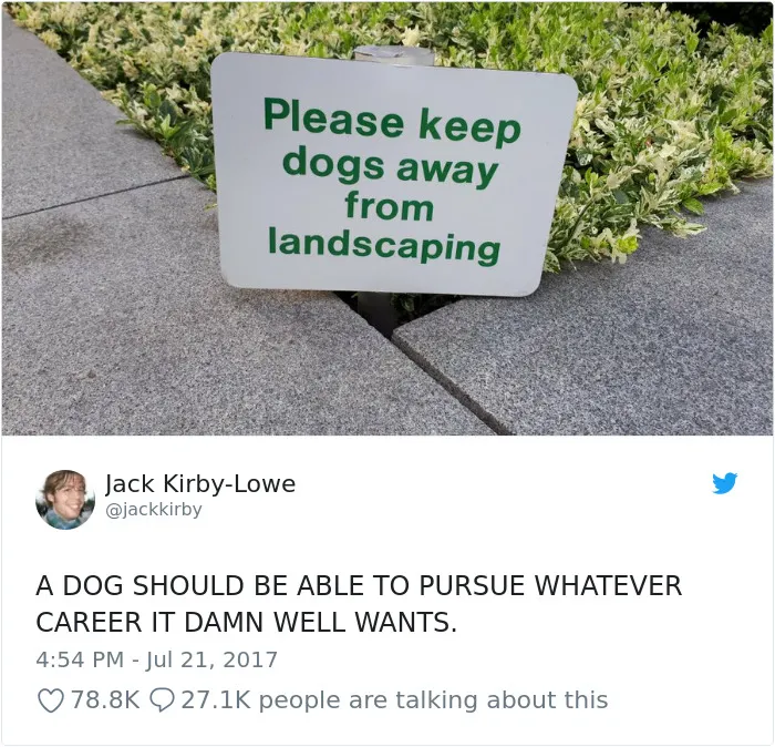 233 Funny Dog Tweets Every Dog Owner Should See ASAP