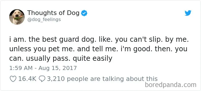 233 Funny Dog Tweets Every Dog Owner Should See ASAP