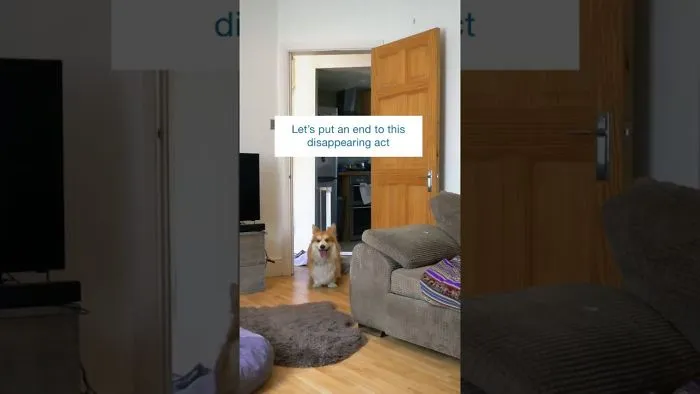 The Most Surprising 'What The Fluff' Challenge You'll Ever See With