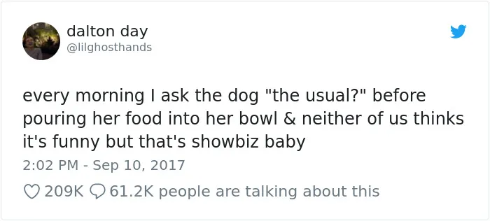 233 Funny Dog Tweets Every Dog Owner Should See ASAP