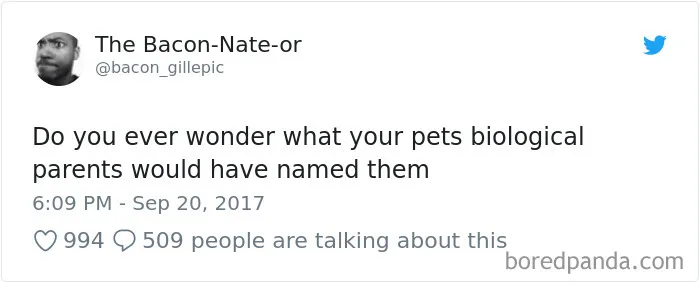 233 Funny Dog Tweets Every Dog Owner Should See ASAP