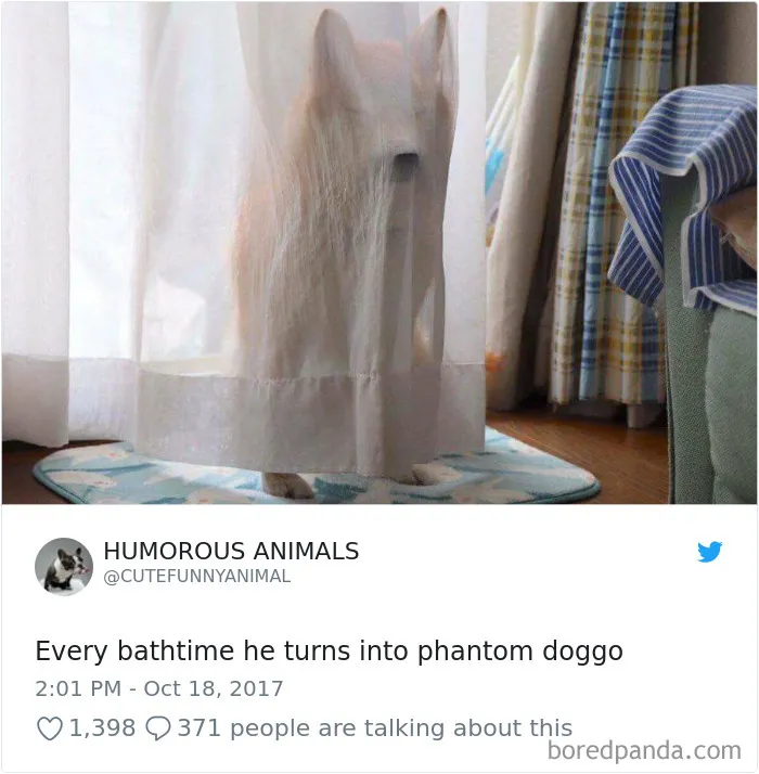 233 Funny Dog Tweets Every Dog Owner Should See ASAP