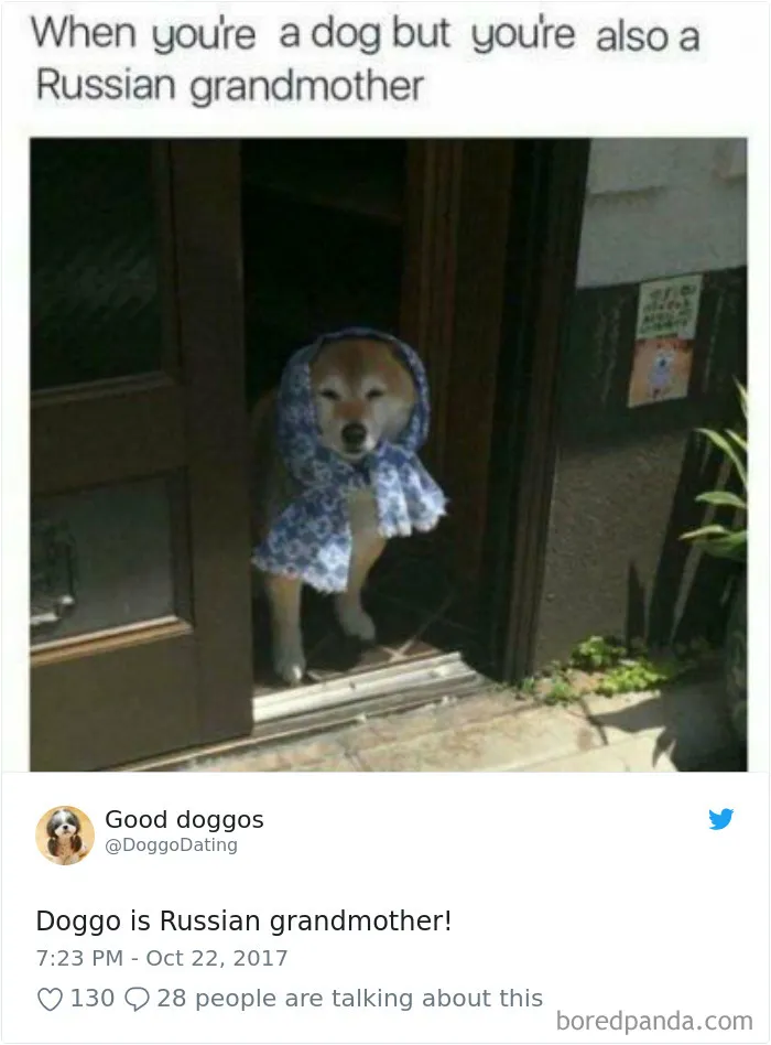 233 Funny Dog Tweets Every Dog Owner Should See ASAP