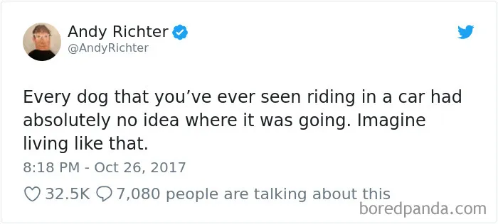 233 Funny Dog Tweets Every Dog Owner Should See ASAP