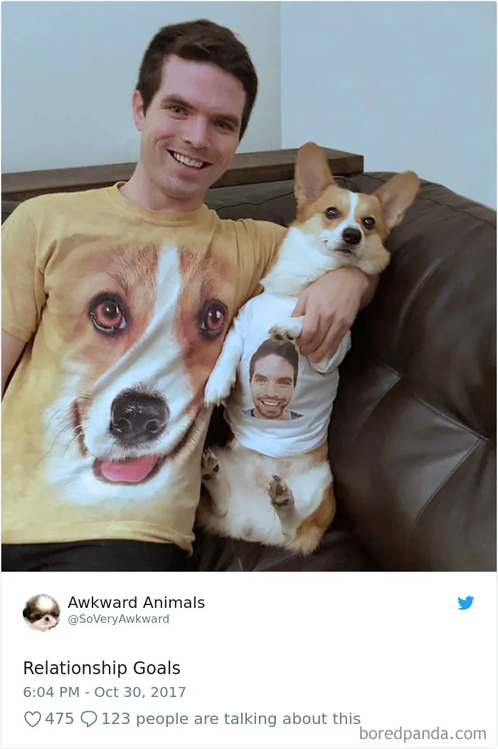 233 Funny Dog Tweets Every Dog Owner Should See ASAP