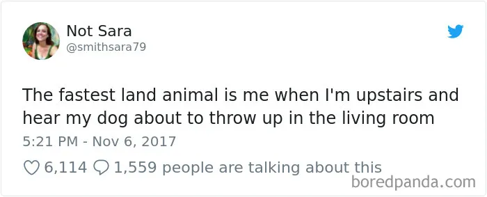 233 Funny Dog Tweets Every Dog Owner Should See ASAP