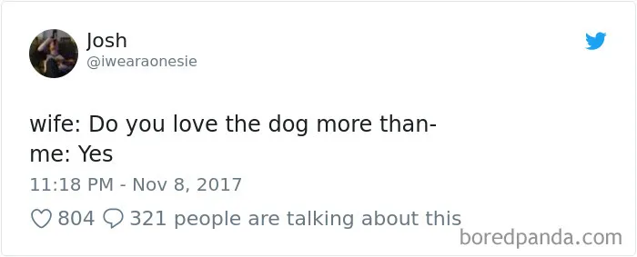 233 Funny Dog Tweets Every Dog Owner Should See ASAP