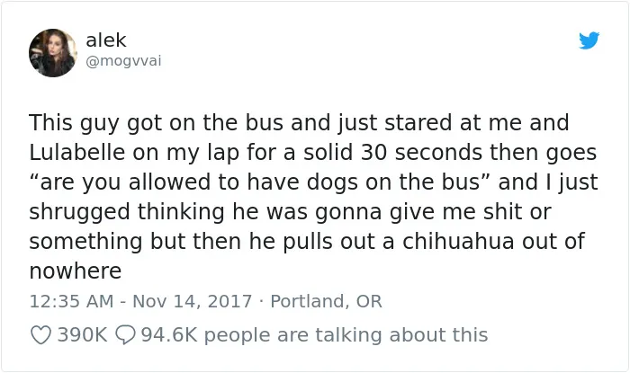 233 Funny Dog Tweets Every Dog Owner Should See ASAP