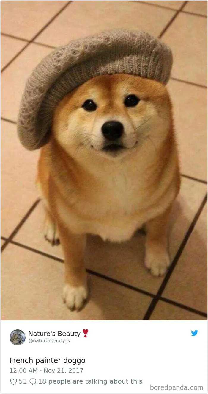 233 Funny Dog Tweets Every Dog Owner Should See ASAP