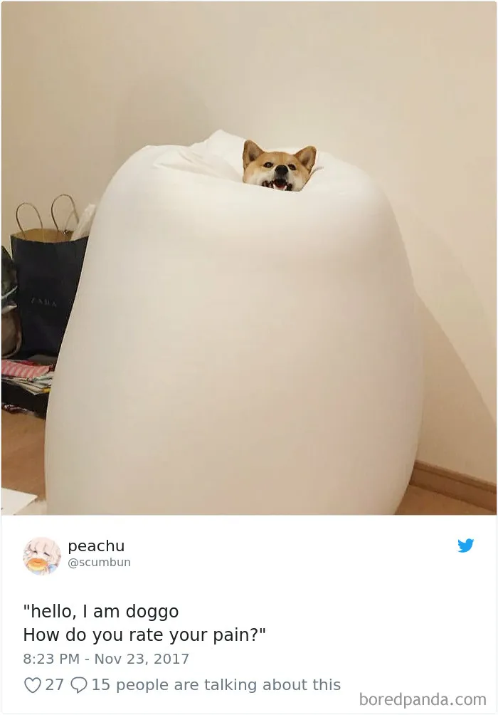 233 Funny Dog Tweets Every Dog Owner Should See ASAP