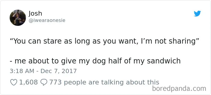 233 Funny Dog Tweets Every Dog Owner Should See ASAP