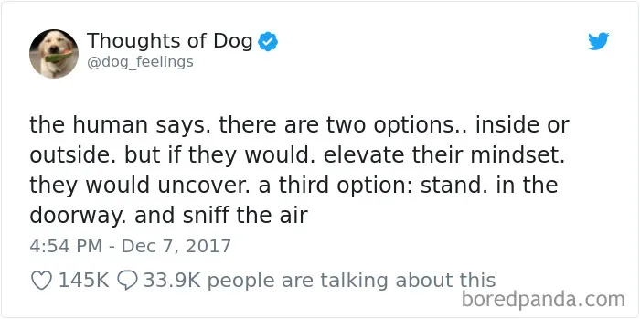 233 Funny Dog Tweets Every Dog Owner Should See ASAP