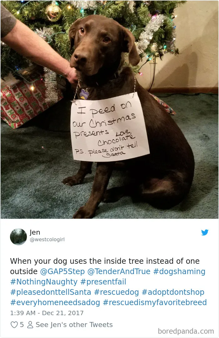 233 Funny Dog Tweets Every Dog Owner Should See ASAP