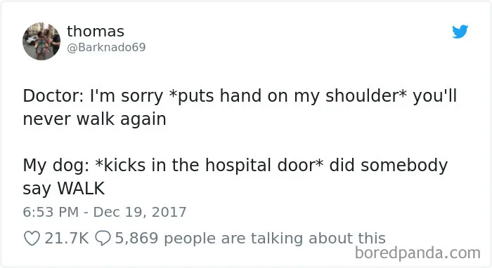 233 Funny Dog Tweets Every Dog Owner Should See ASAP