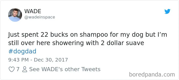 233 Funny Dog Tweets Every Dog Owner Should See ASAP