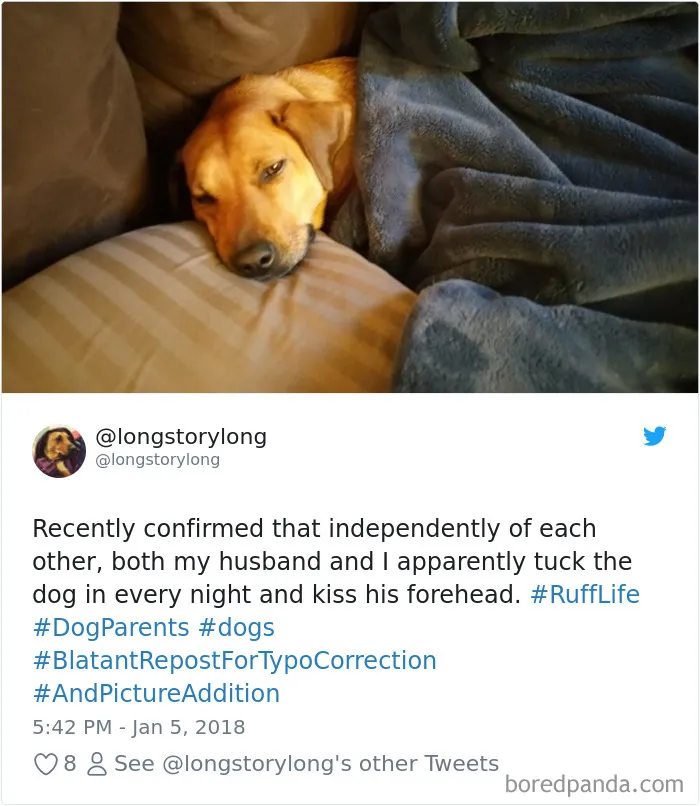 233 Funny Dog Tweets Every Dog Owner Should See ASAP